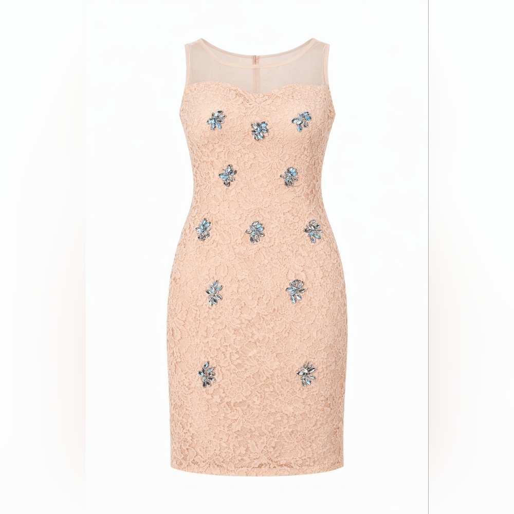 Chic Floral Lace Dress in Cream